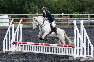 Class 3 -  Fences not above 2'3